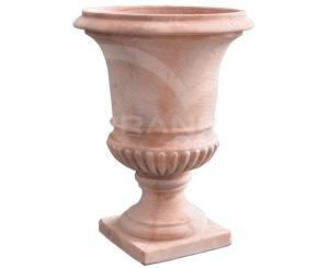 Coppa Reale Liscia
